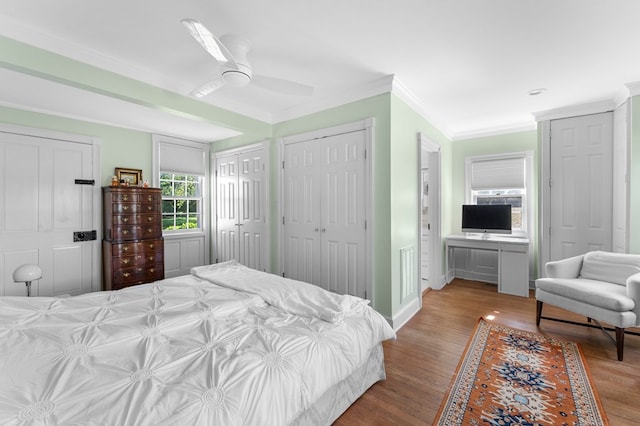 bedroom featuring wood-type flooring, multiple closets, ceiling fan, and ornamental molding