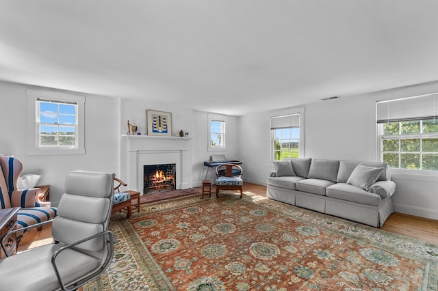 living room with wood-type flooring