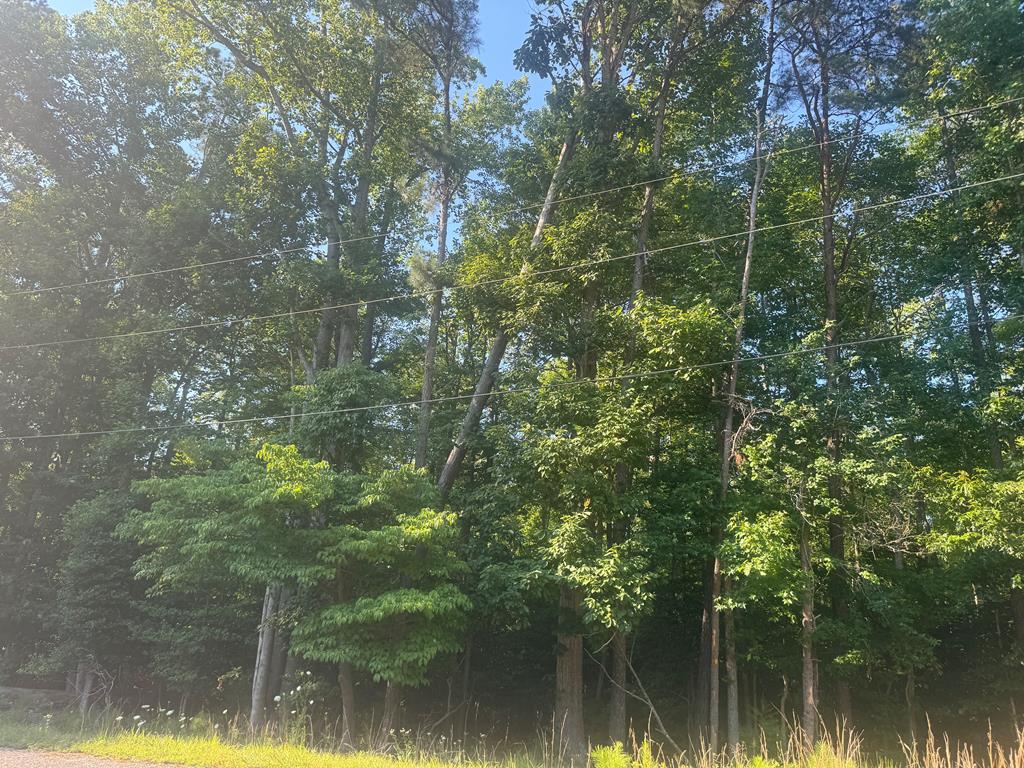 50, 51 Presley Creek Dr, Heathsville, VA 22473 - photo 1