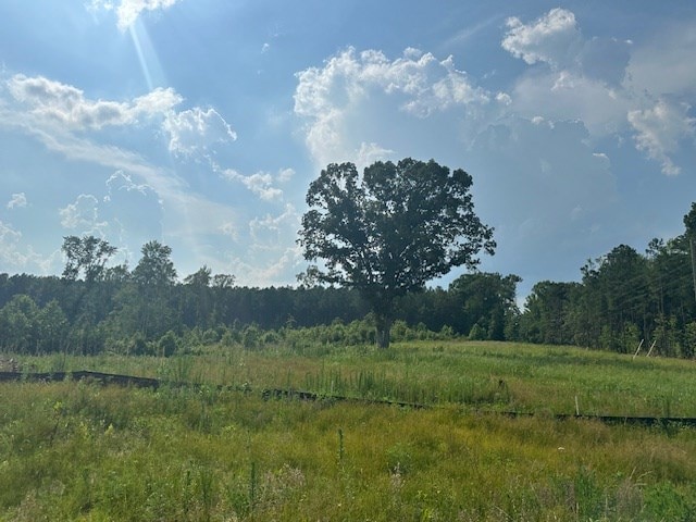 4337 Rock Spring Rd, Center Cross, VA 22437