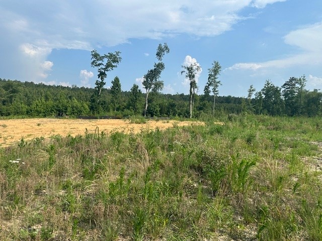 4337 Rock Spring Rd, Center Cross, VA 22437