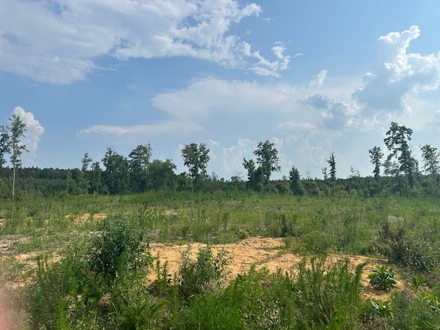 4337 Rock Spring Rd, Center Cross, VA 22437