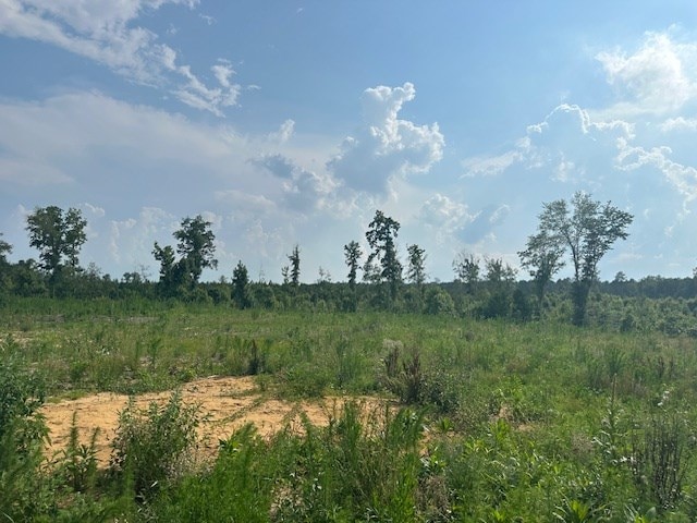 4337 Rock Spring Rd, Center Cross, VA 22437