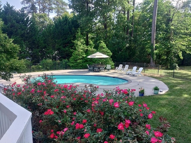 480 Rockingham Rd, Dunnsville, VA 22454 - view of swimming pool featuring a fenced in pool, a patio area, fence, and a lawn