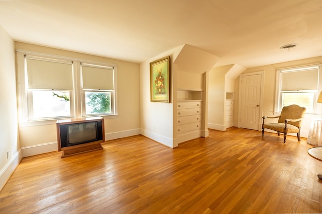 bonus room with built in features and light hardwood / wood-style flooring