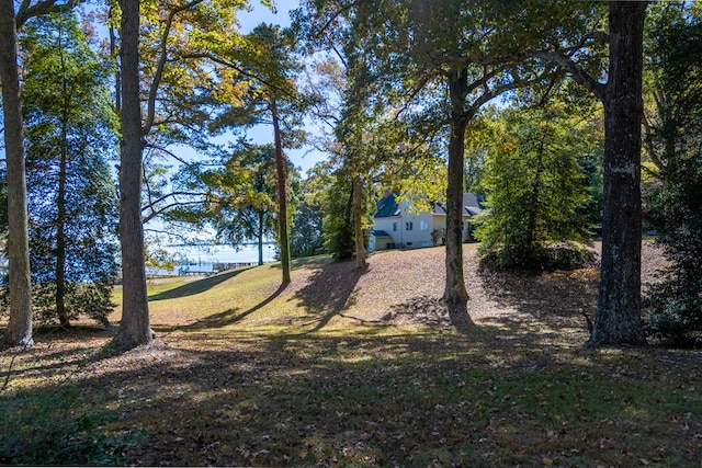 view of yard with a water view