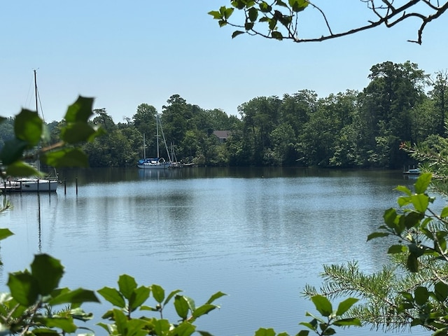46 Forest Ln, Lancaster, VA 22503