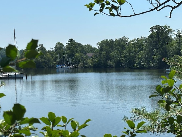 46 Forest Ln, Lancaster, VA 22503