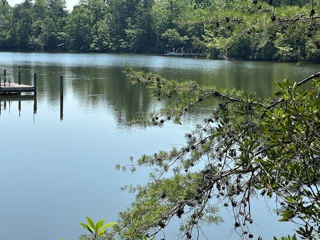 46 Forest Ln, Lancaster, VA 22503