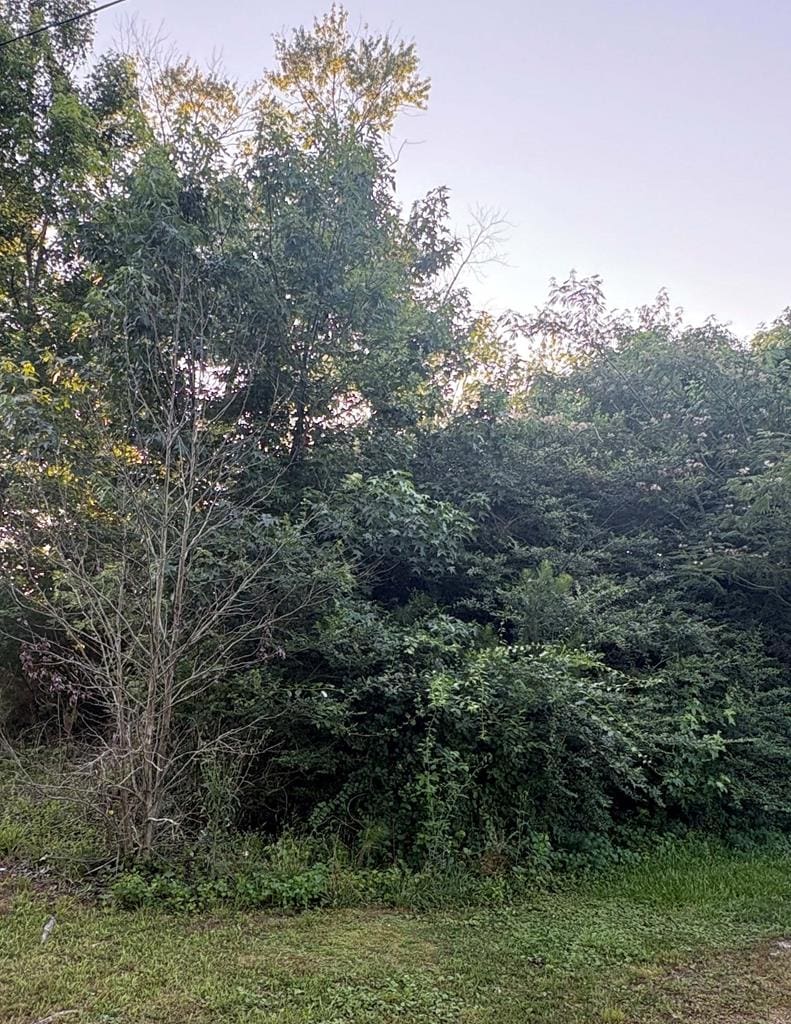 837 Mob Neck Rd, Heathsville, VA 22473 - photo 1