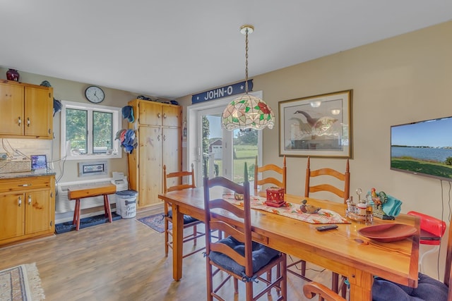 dining room with light hardwood / wood-style floors