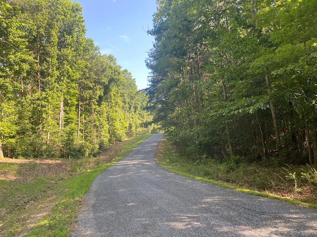 LOT56 Skipjack Ln, Heathsville, VA 22473 - photo 2