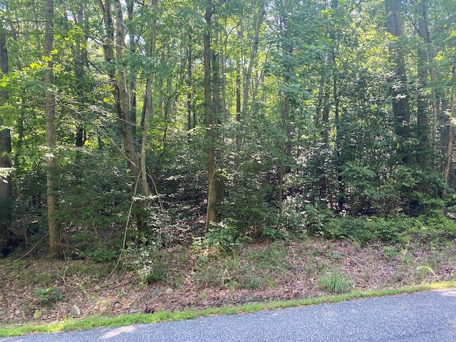 LOT56 Skipjack Ln, Heathsville, VA 22473 - photo 1