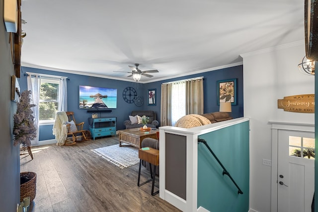 living room with ceiling fan, ornamental molding, and dark wood-type flooring