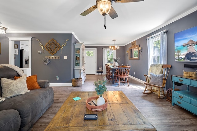 living room featuring ceiling fan with notable chandelier, dark hardwood / wood-style flooring, and crown molding