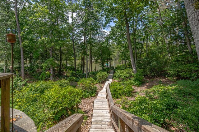 170 Rappa Run Rd, Topping, VA 23169 - view of yard