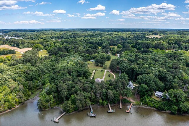 170 Rappa Run Rd, Topping, VA 23169 - bird's eye view of a forest and a large body of water