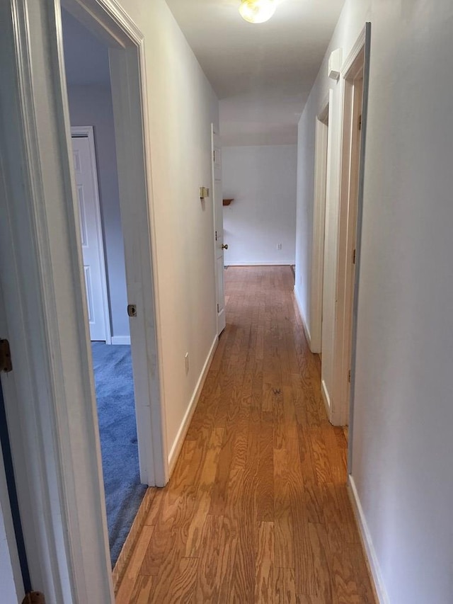 55 Deer Run Dr, Heathsville, VA 22473 - hall with light wood-type flooring and baseboards