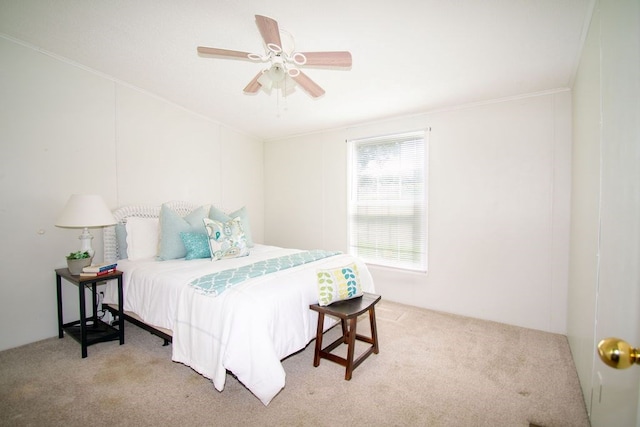 667 Rowes Landing Rd, Heathsville, VA 22473 - photo 25