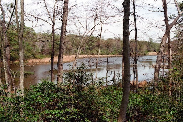 Listing photo 2 for LOT99 Steamboat Ln, Heathsville VA 22473