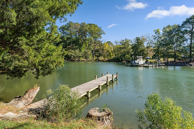 dock area featuring a water view