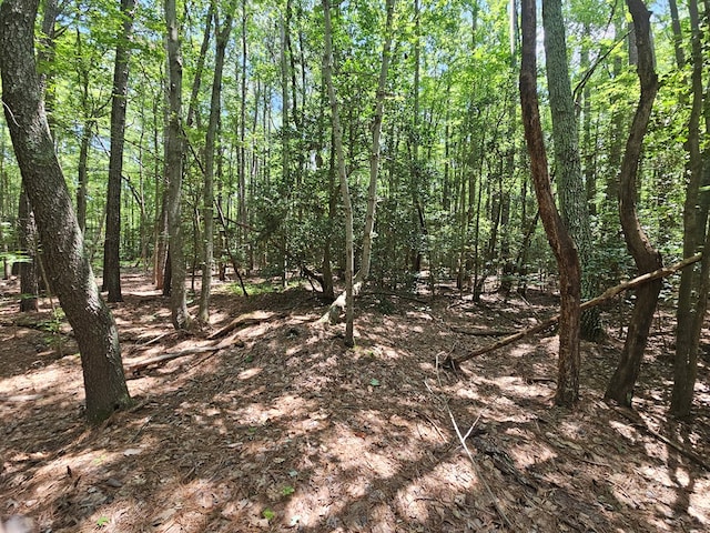 LOT67 Cubitt Creek Rd, Heathsville, VA 22473 - photo 3