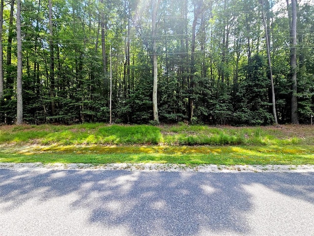 LOT67 Cubitt Creek Rd, Heathsville, VA 22473 - photo 1