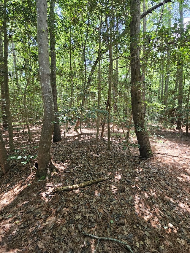 LOT67 Cubitt Creek Rd, Heathsville, VA 22473 - photo 2