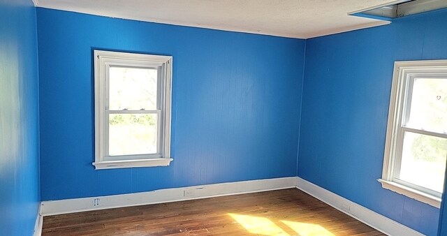 7013 Northumberland Hwy, Heathsville, VA 22473 - photo 18