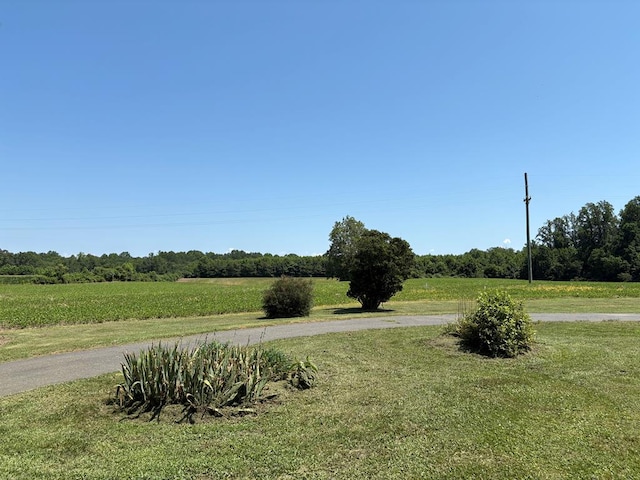15073 Richmond Rd, Callao, VA 22435 - view of grassy yard