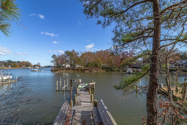 dock area with a water view