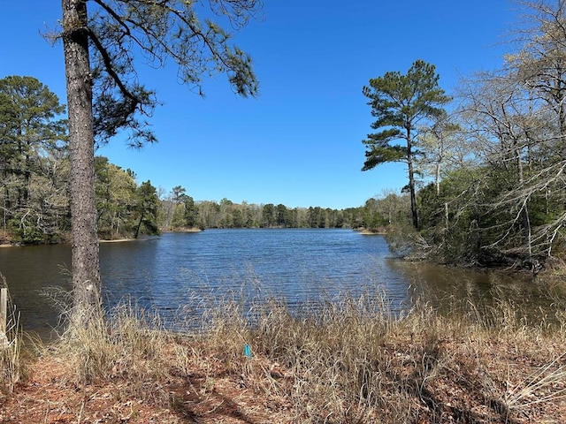 521 Taylors Beach Rd, Reedville, VA 22539 - photo 54