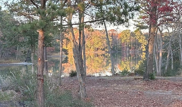 view of landscape featuring a water view