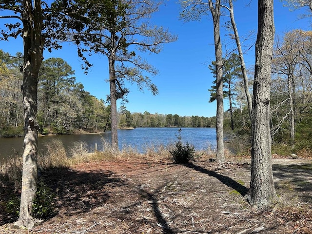 521 Taylors Beach Rd, Reedville, VA 22539 - photo 52