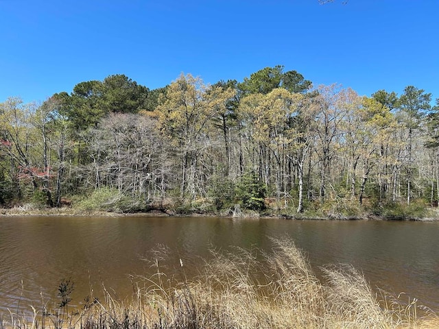 521 Taylors Beach Rd, Reedville, VA 22539 - photo 50