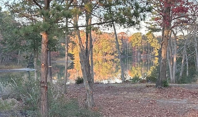 521 Taylors Beach Rd, Reedville, VA 22539 - photo 53