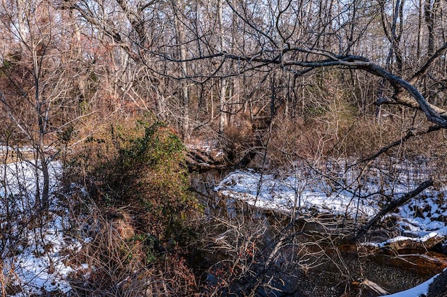 view of local wilderness