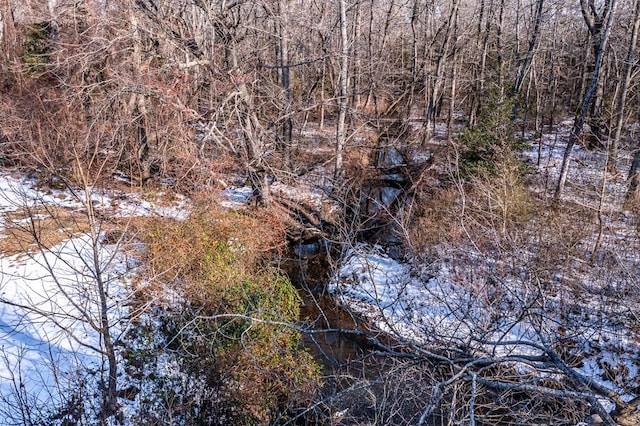 view of local wilderness