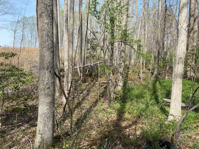 LOT296 Lumberlost Rd, Weems, VA 22576 - photo 6
