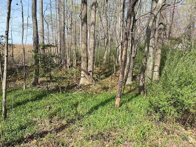 LOT296 Lumberlost Rd, Weems, VA 22576 - photo 5