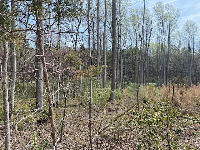 LOT296 Lumberlost Rd, Weems, VA 22576 - photo 4