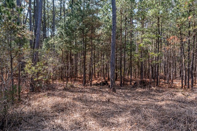 LOT4.25 Galway Dr, Kilmarnock, VA 22482 - photo 10