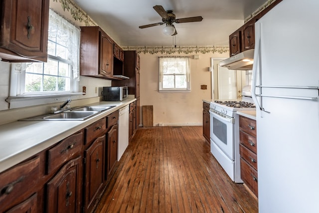 kitchen with dark hardwood / wood-style flooring, plenty of natural light, sink, and white appliances