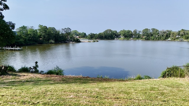 123 Orchard Cove Rd, Callao, VA 22435 - water view