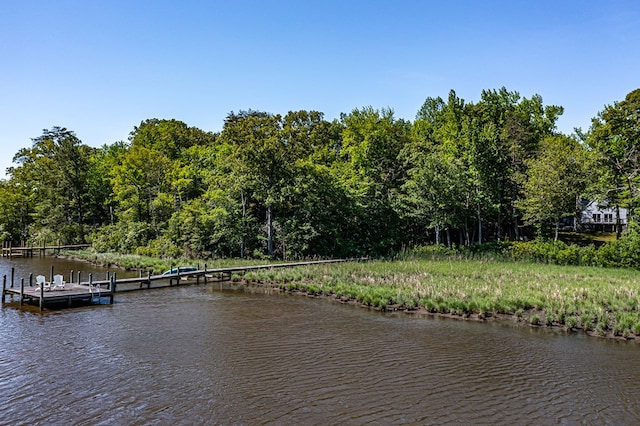 1198 Knights Landing Dr, Heathsville, VA 22473 - water view with a boat dock and a forest