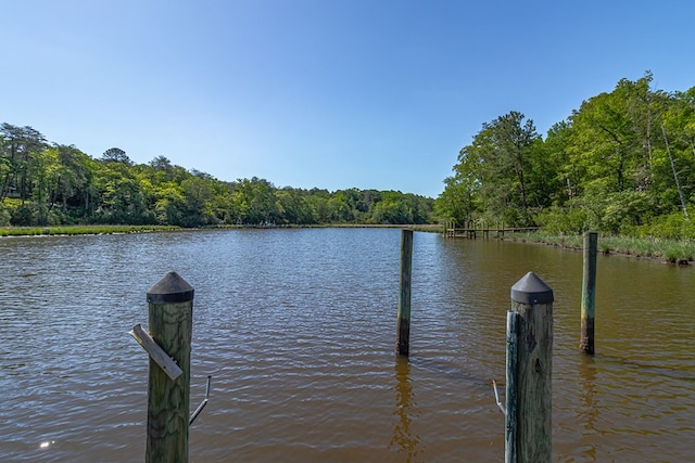 1198 Knights Landing Dr, Heathsville, VA 22473 - dock area with a water view and a view of trees