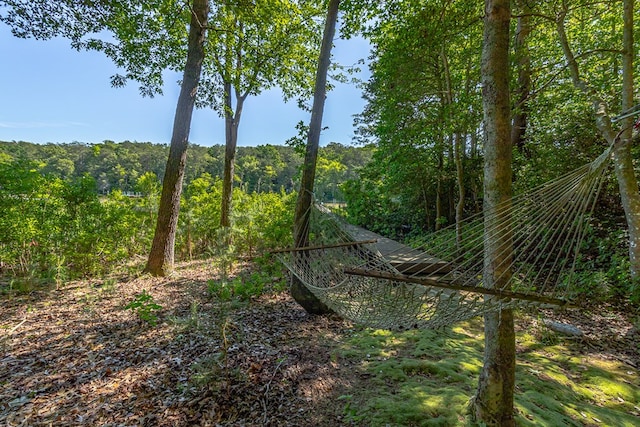 1198 Knights Landing Dr, Heathsville, VA 22473 - view of tree filled area