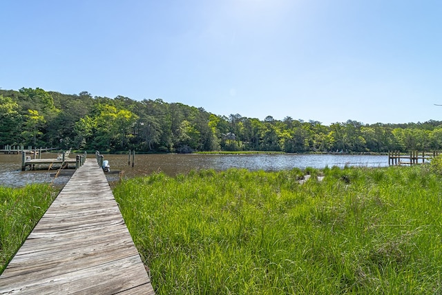 1198 Knights Landing Dr, Heathsville, VA 22473 - dock area featuring a water view and a view of trees
