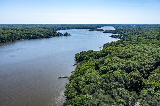 1198 Knights Landing Dr, Heathsville, VA 22473 - aerial view of a forest and a large body of water