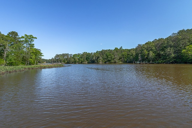 1198 Knights Landing Dr, Heathsville, VA 22473 - water view featuring a forest